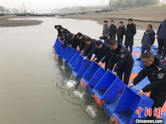 2019年长江流域武汉段人工增殖放流活动现场（资料图）　张芹　摄