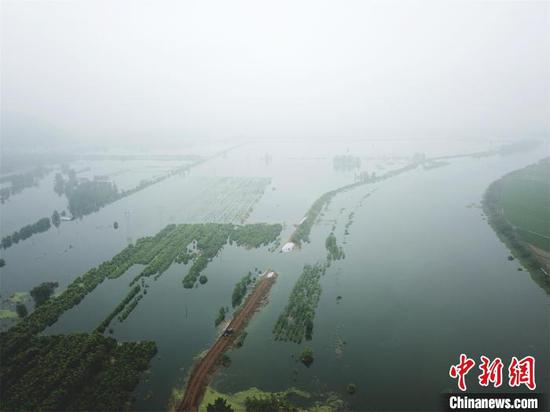 强降雨致湖北阳新富河一堤段出现溃口，淹没周围农田（资料图）　余凯　摄