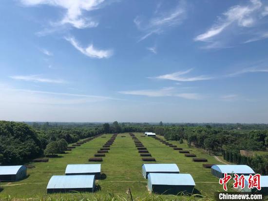 楚王車馬陣景區(qū)是現(xiàn)已發(fā)現(xiàn)的保存最好、規(guī)模最大、布局最為完整的周代楚王陵陵園。 梁婷 攝