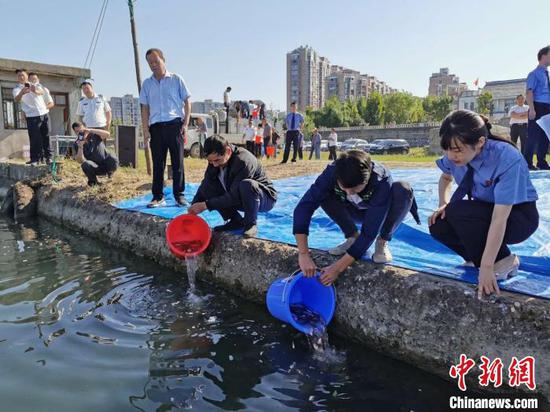 湖北老河口一对父子非法捕捞获刑，自购万尾鱼苗放汉江（资料图）　胡传林　摄