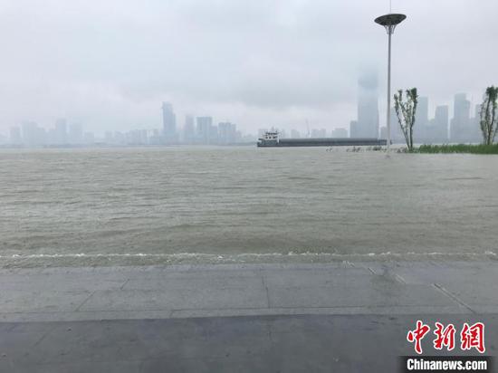 近期长江中下游干流水位持续上涨 张芹 摄