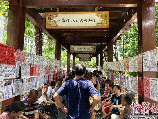 7月3日,武汉洪山公园里的“星期三相亲会”现场。中国青年报·中国青年网记者 朱娟娟/摄