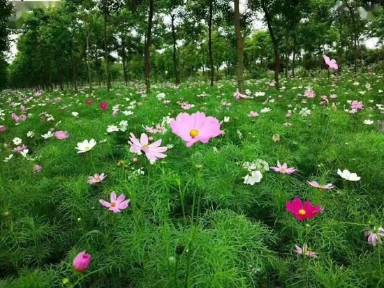 润景生态园