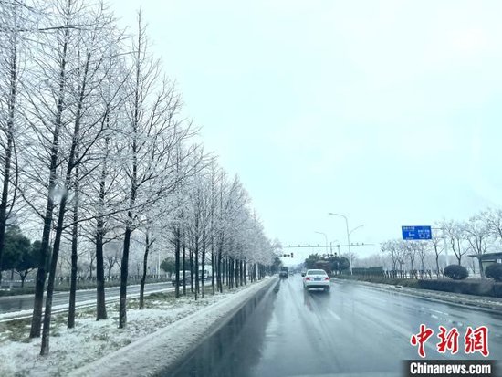 受低溫凍雨影響，武漢城區(qū)道路兩旁樹木上掛滿厚厚的冰凌。張芹攝