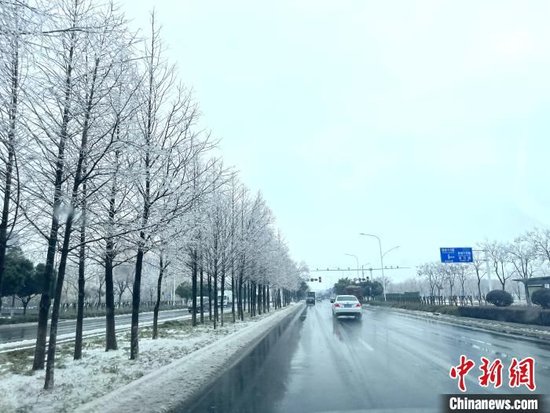 受低温冻雨影响，武汉城区道路两旁树木上挂满厚厚的冰凌。张芹摄