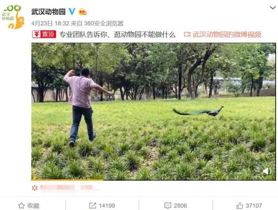23日，武汉动物园微博发布《专业团队告诉你，逛动物园不能做什么》视频，提示游客文明游园。