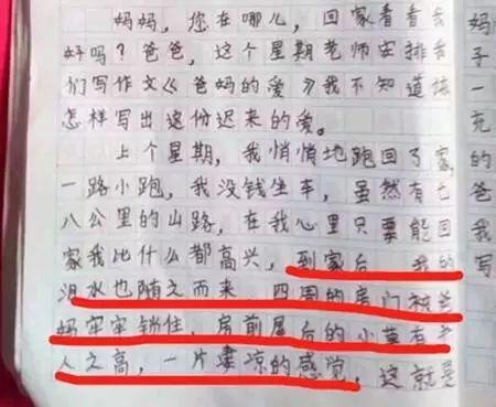 作文部分內(nèi)容截圖
