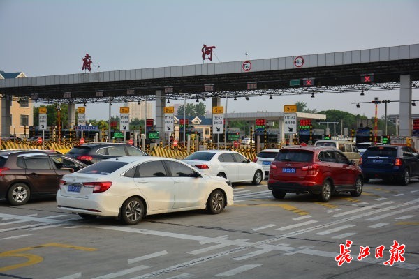返程车辆有序进入府河收费站入口处。记者杨涛 摄