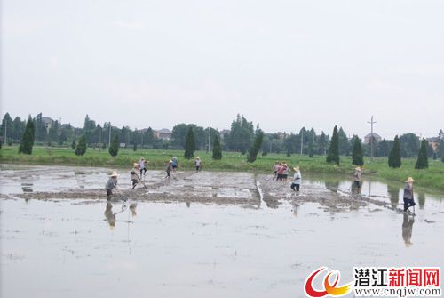 (图片来自网络)