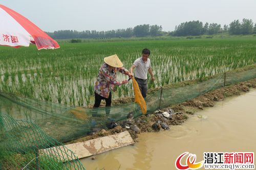 （图片来自网络）