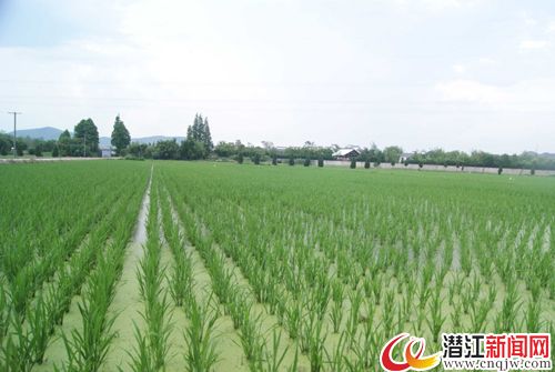 (图片来自网络)