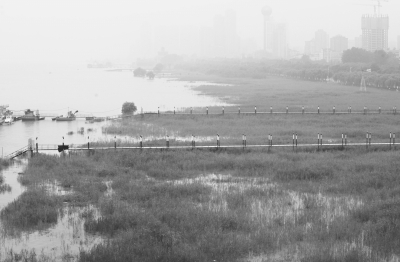 近日我市连降暴雨，长江水位不断上涨，汉口江滩大部分草滩被大水淹没 记者刘斌 摄