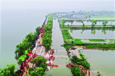 昨日，在汤逊湖花兰湾堤坝，官兵在浑浊的水中传递沙袋，奋力抢险  
    记者胡九思 航拍