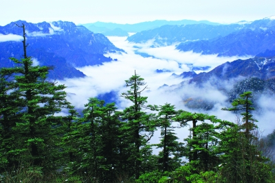 阴峪河云海