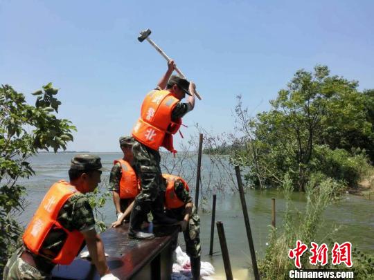 武警官兵打桩 胡睿 摄