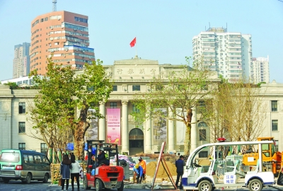 两棵粗壮的老梧桐树矗立在武汉美术馆前。记者苗剑 摄