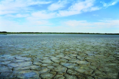 中央第一环保督察组近日在反馈意见中指出，内蒙古遗鸥国家级自然保护区生态功能已基本丧失。图为该保护区核心区干涸的湖底  据中新社
