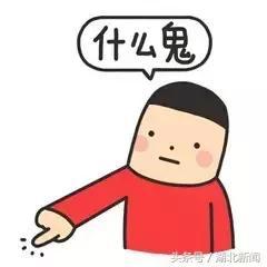 湖北各地方言汇总,湖北哪个地方方言最难懂最过瘾？(图14)