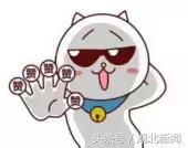 与会专家给予高度评价: