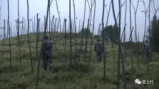 爬上一個(gè)大的封土堆，王隊(duì)長和隊(duì)員們立即在墓的中心地帶分散，他們時(shí)不時(shí)扒開草叢，不放過任何蛛絲馬跡。