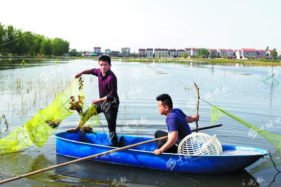 在荊州沙崗鎮(zhèn)，工作人員劃著小船在湖里撈蝦。