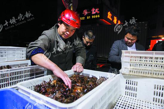 在凌晨4时许的十堰老虎沟水产市场，已有不少商家来批发新鲜的小龙虾。
