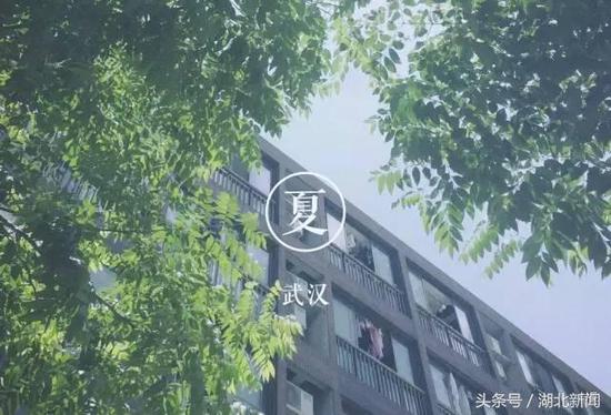 入秋的武汉,水波荡漾、温暖迷人