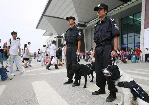 △武汉铁路特警携警犬加强重点部位巡查力度。