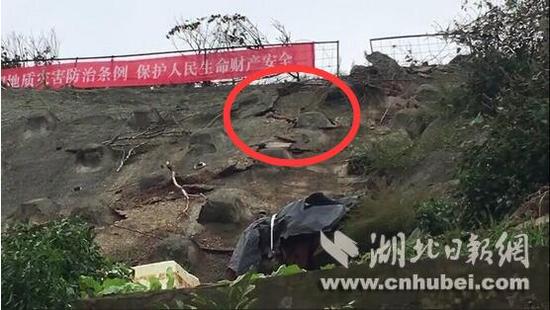 红圈处有裂缝,下面土质松软,下雨就会坍塌