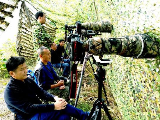 图二、潜江市观鸟协会成员在返湾湖国家湿地公园开展水鸟监测(毛枝庭摄)