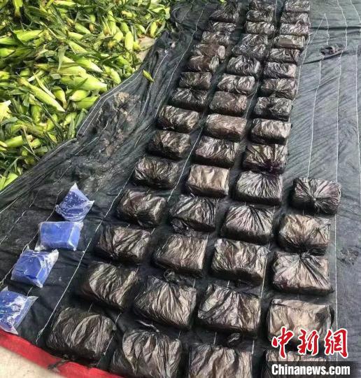 圖為荊州警方繳獲的28公斤毒品。荊州市公安局供圖