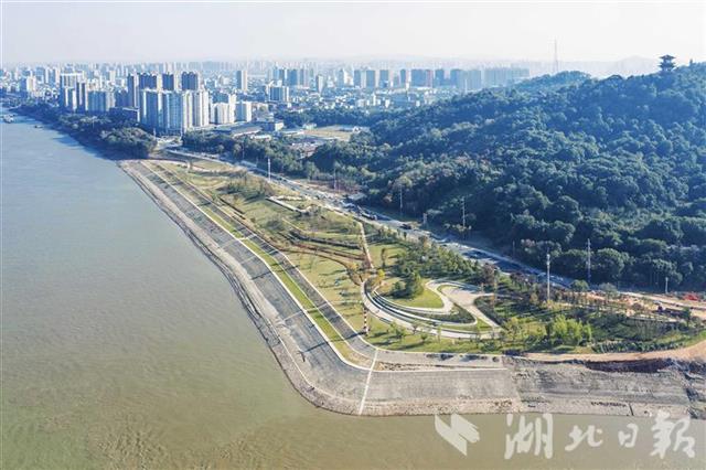 11月14日,俯瞰鄂州樊口一级水源保护地江滩。本文图片由湖北日报全媒记者 梅涛 摄