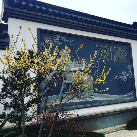 圖片為大年三十，網(wǎng)友上傳在東湖磨山梅園賞梅的照片。