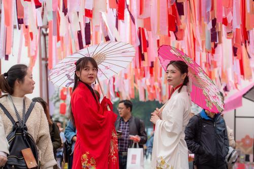 樱花研究专家:武汉樱花拥有多个“中国之最”