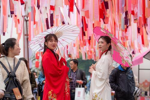 樱花研究专家：武汉樱花拥有多个“中国之最”