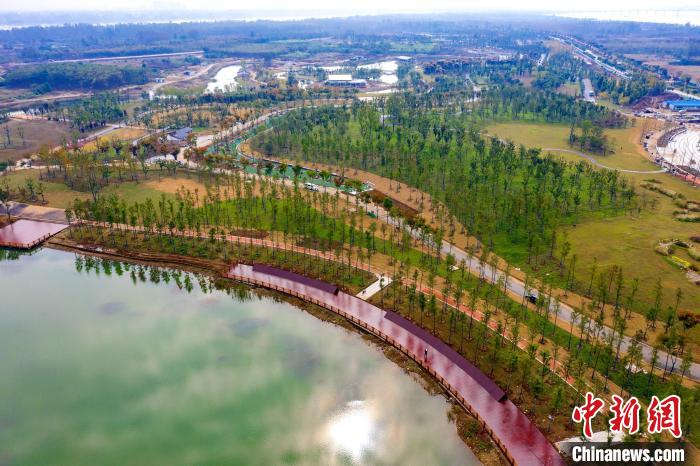 整个园区以“堆丘、理水、造园、植林、掇文”为设计策略打造 杨东 摄
