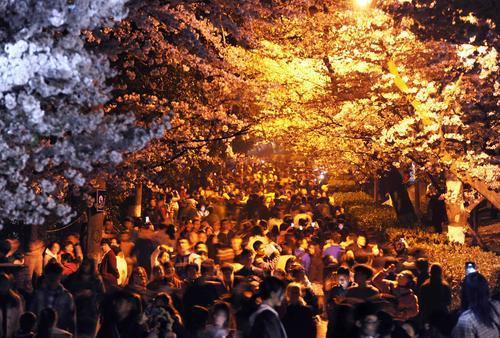 2019年3月23日夜晚七点钟，武汉大学观赏樱花取消限制后迎来夜高峰，樱花大道上来自天南海北的赏花游客人头攒动。记者 高勇 摄