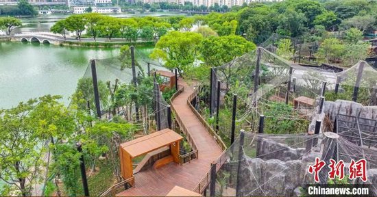 武汉动物园完成改造升级 动物住进“精装房”