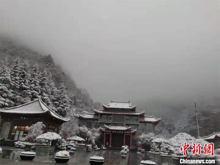 武当山景区迎来降雪 冯孔 摄