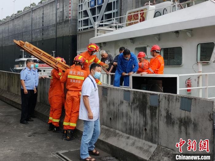 消防人员架梯转移船员 张小永 摄