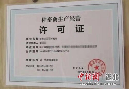 警方查獲假證警方查獲假證