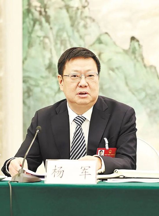 省人大代表，咸宁市委副书记、市长 杨军