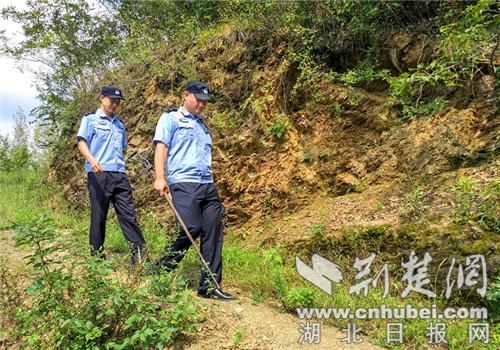 襄阳保康|襄阳保康村民主动上缴枪支11支 警方依法免除处罚