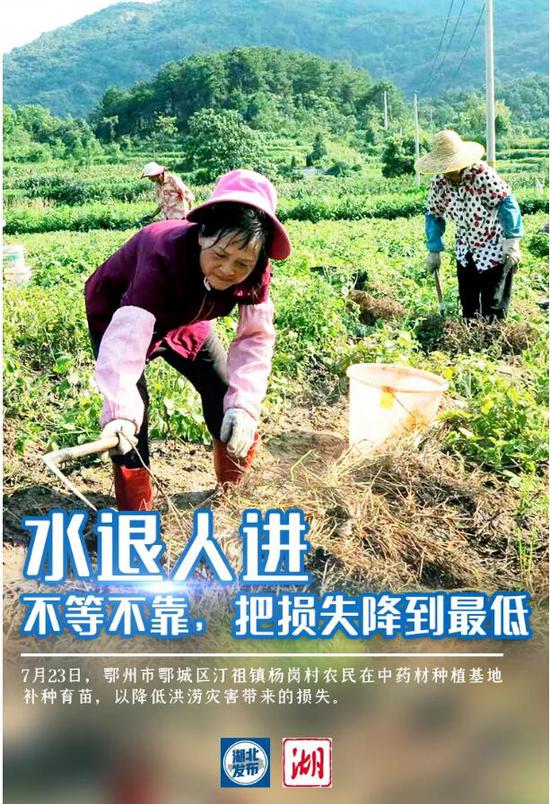 湖北|弯下的是腰身 撑起的是信心