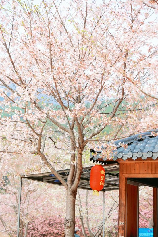 △锦里沟(图源:黄陂文旅)