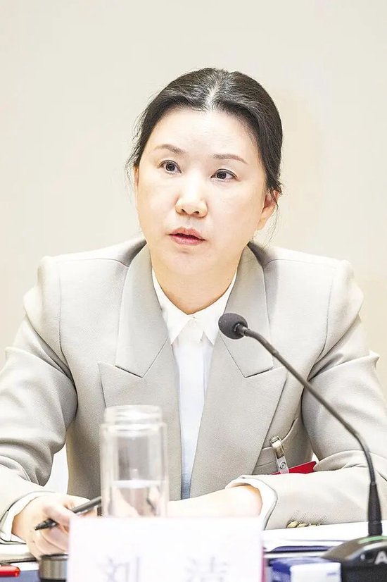 省人大代表，黄冈市委副书记、市长 刘洁