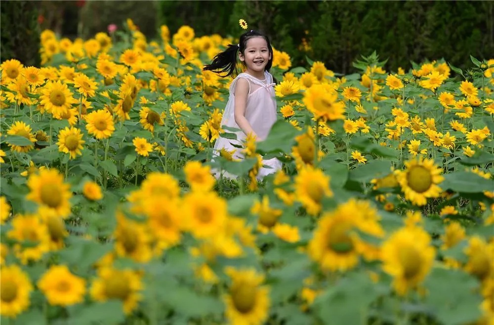湖北|首日,0.97亿人次、766.5亿元!