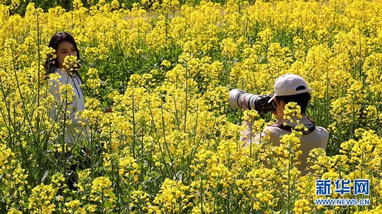 图为湖北省咸宁市通城县龙印村油菜花基地。新华网发 黎赏 摄