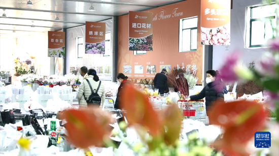 1月12日，顾客在汉口北鲜花小镇挑选鲜花。新华社记者潘志伟 摄