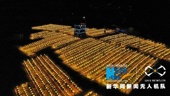 图为在湖北恩施州建始县业州镇鹞子坪村,30亩的红心火龙果基地成了村民致富增收的红火产业。